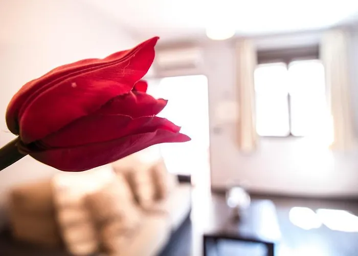 Alda Muralla De Appartement Tolède